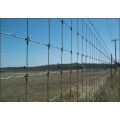 Galvanized Prevent Wire Farm Field Fence